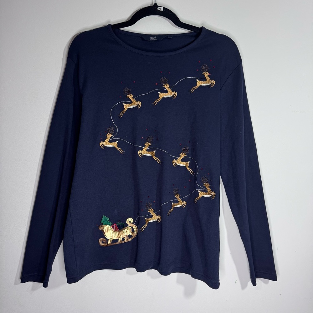 Santa Reindeer Sleigh Christmas Top, Embroidered Holiday Tee, Size M